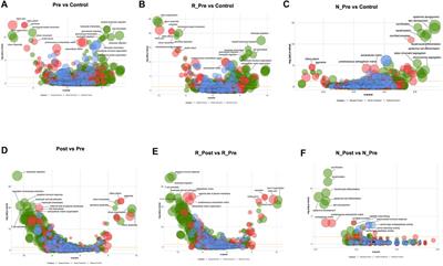 Transcriptomic and Lipidomic Profiles in Nasal Polyps of Glucocorticoid Responders and Non-Responders: Before and After Treatment